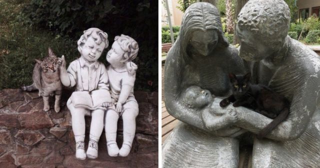 Статуи - лучшие друзья для котов и кошек