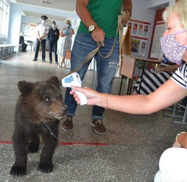 Подборка картинок. Вечерний выпуск (30 фото) - 22.08.2022