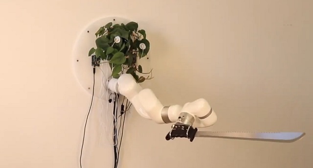 энтузиаст подсоединил к растению роботизированную руку с мачете