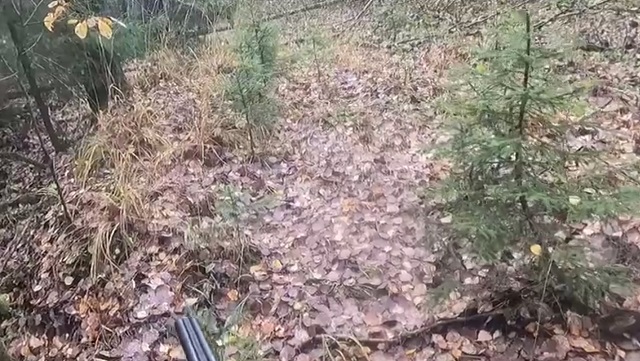 охотник в лесу
