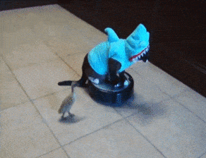 1667998296_3.gif