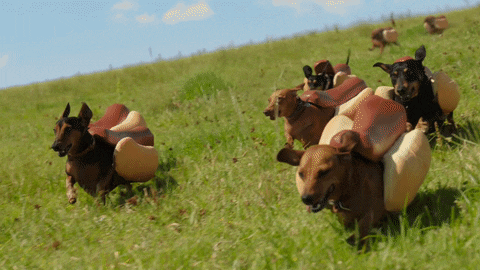 1668504524_10.gif