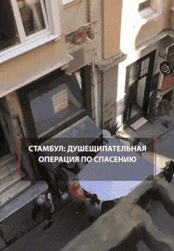 Подборка гифок (25 гифок) - 15.11.2022
