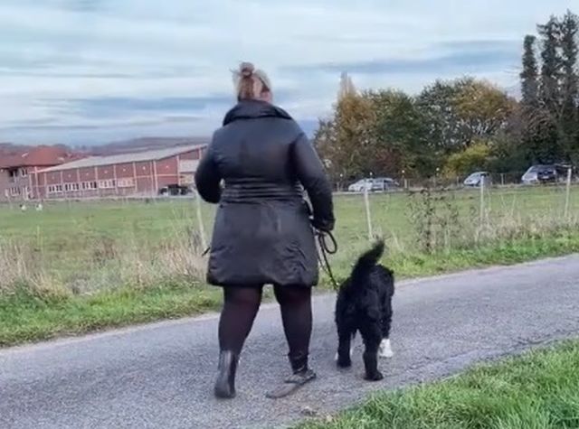 женщина с собакой