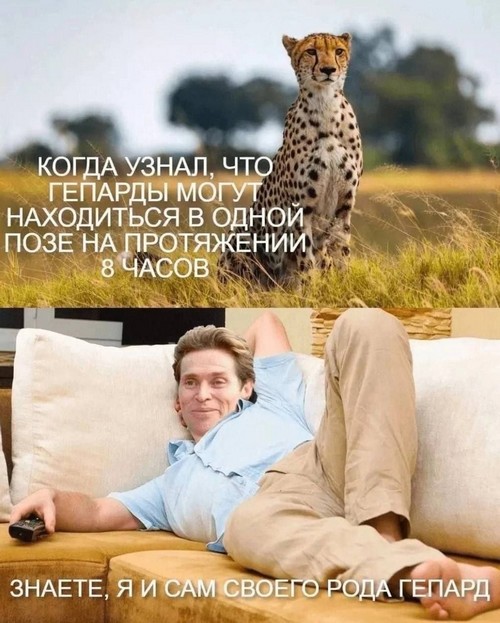 Лучшие шутки и мемы из Сети - 15.12.2022 (15 фото)