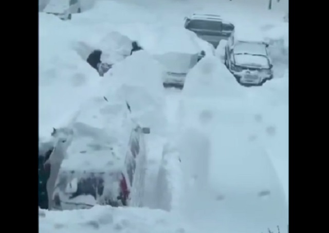 машины в снегу