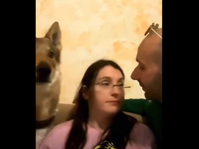 парень, девушка и собака