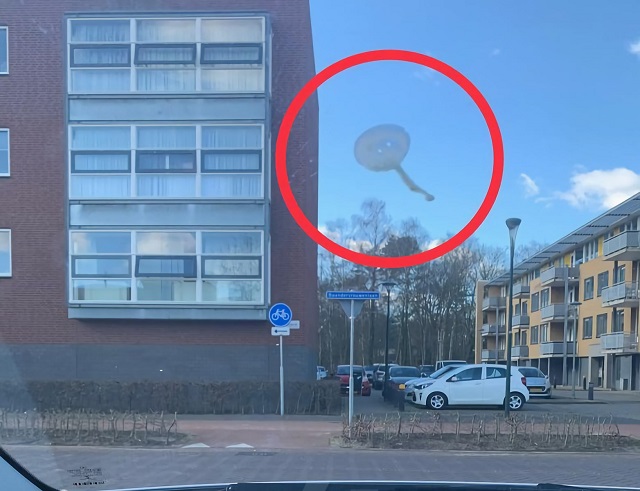 В Нидерландах полицейский устроил погоню за шаром-шпионом