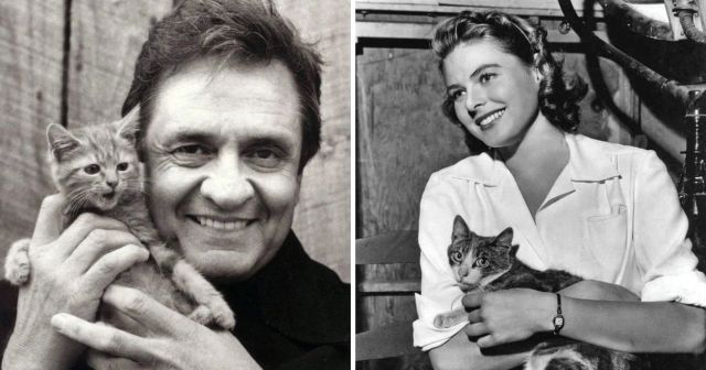 Ретро-снимки знаменитостей с котиками