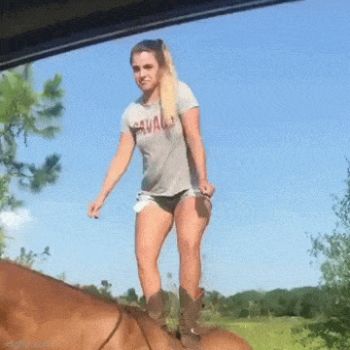девушка на лошади
