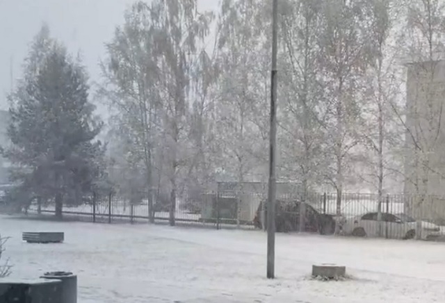 снег в санкт-петербурге