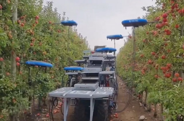 дроны собирают яблоки
