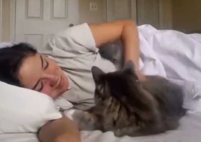 девушка с котом спит на кровати