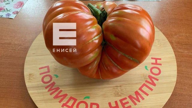 Женщина из Красноярского края выиграла машину за самый большой помидор