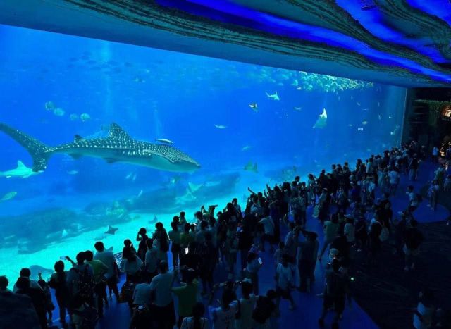 В Китае открыли самый большой в мире морской научный парк "Чжухай Чимелонг"