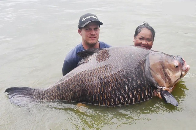В Таиланде рыбак поймал самого большого в мире карпа