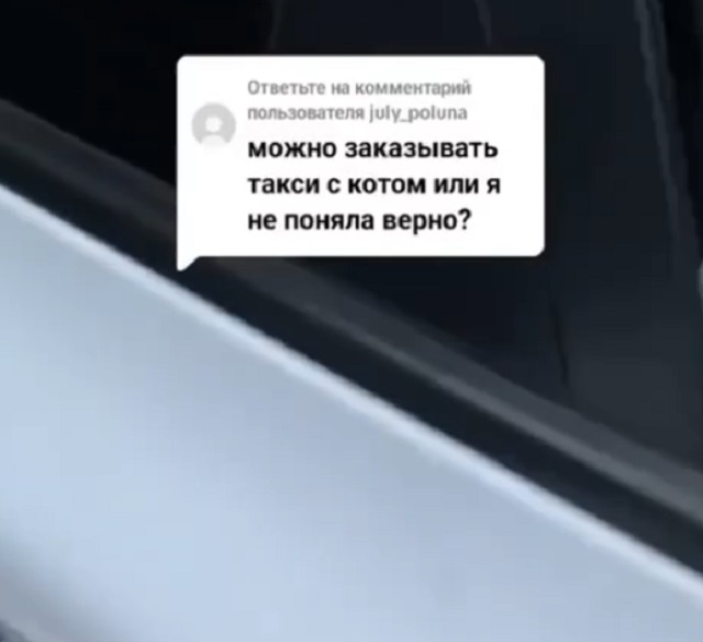 такси с котом