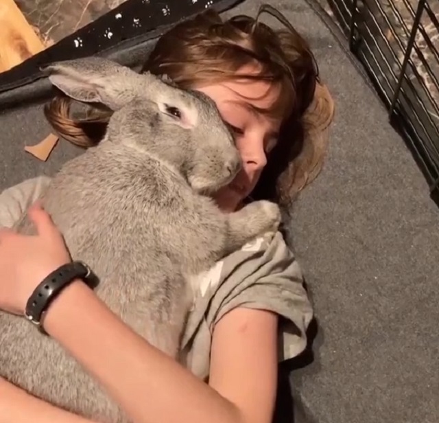 девочка обнимает кролика