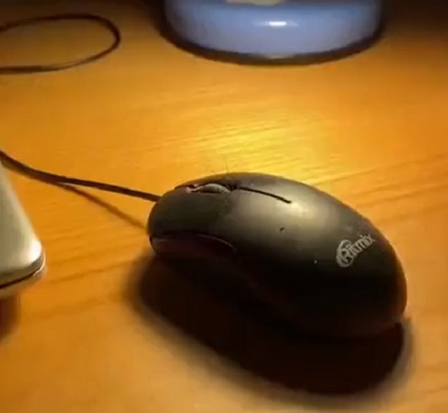 компьютерная мышь
