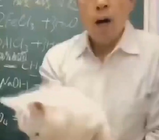 учитель с котом