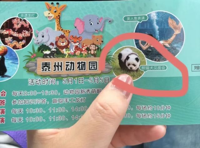 В Китае зоопарк пообещал показать посетителям новую породу панд и вот, что из этого вышло (5 фото + видео)