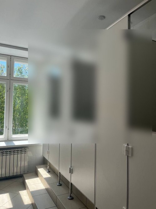 В школе Татарстана обрезали двери в туалетах для проведения ЕГЭ (4 фото)