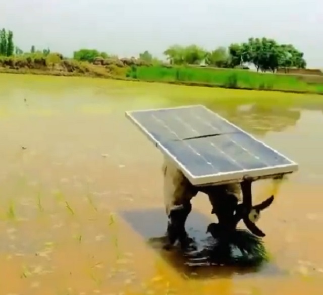 работяги из Индии повесили себе на спину солнечные панелb