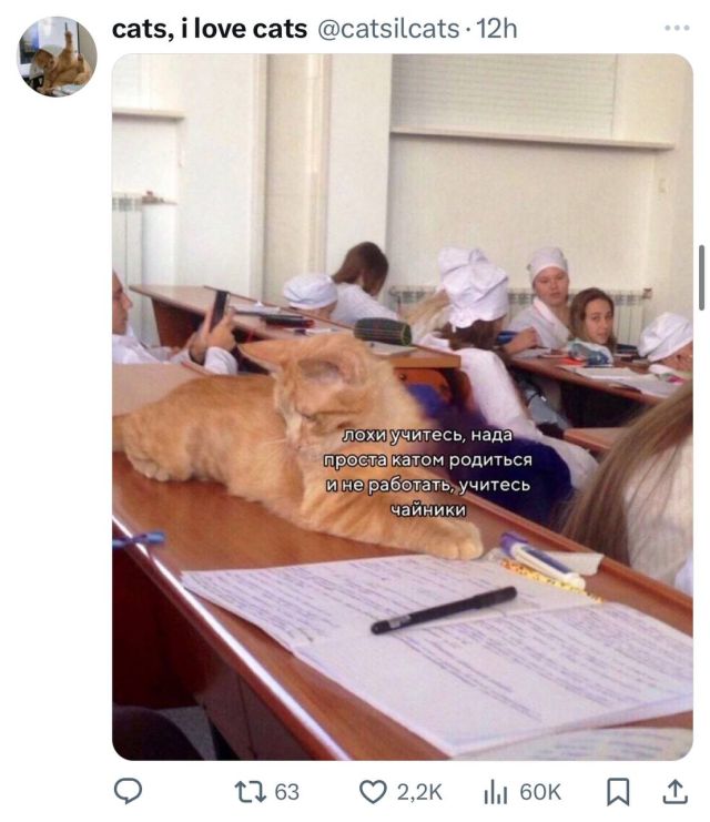 Подборка забавных твитов обо всем