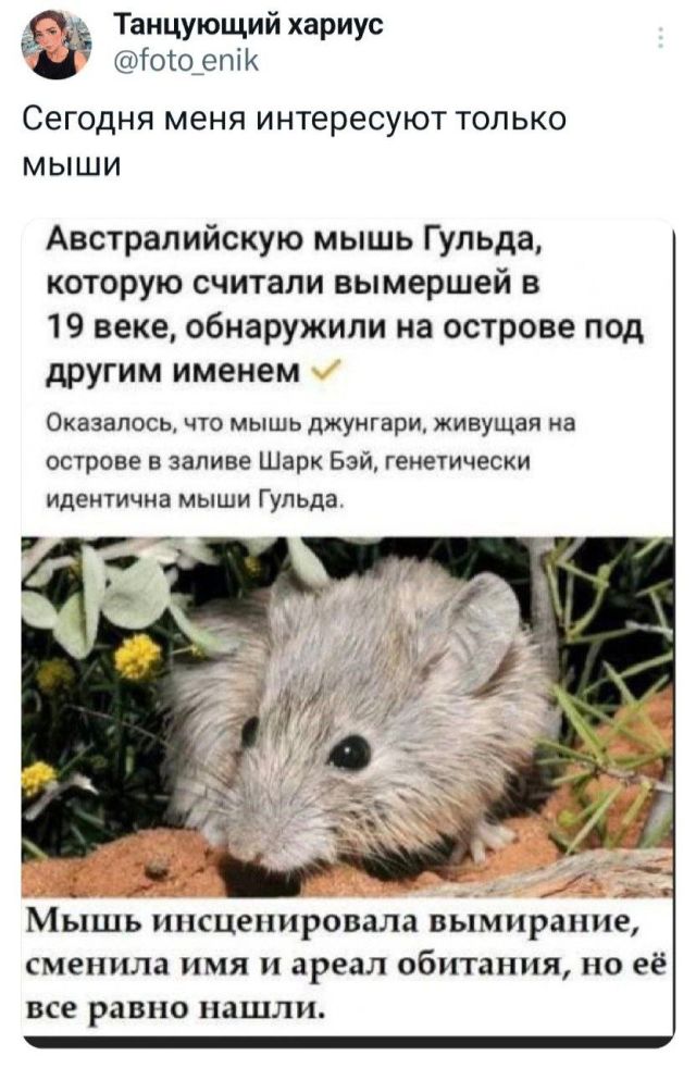Подборка забавных твитов обо всем