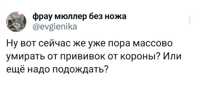Подборка забавных твитов обо всем