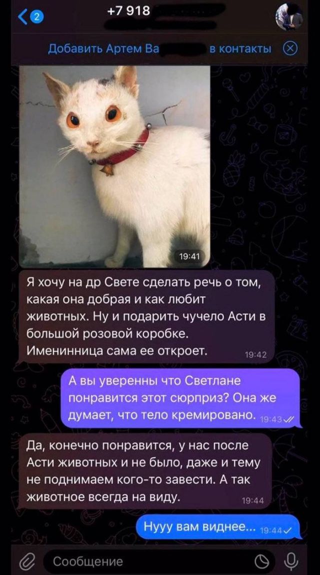 Парень подарил своей девушке чучело ее кошки