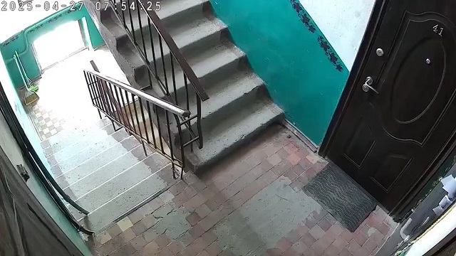 Что будет, если случайно забыть покормить кота