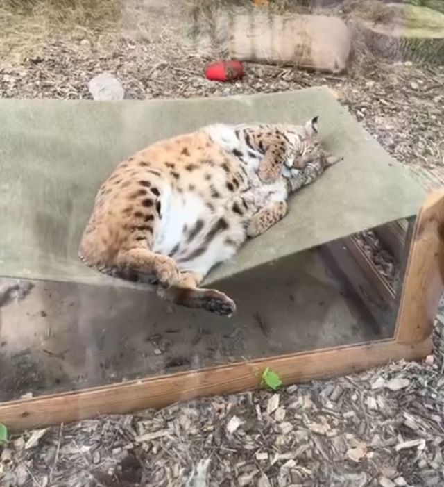 Каждый из нас немного Степан