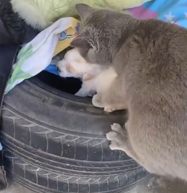 Чужих детей не бывает