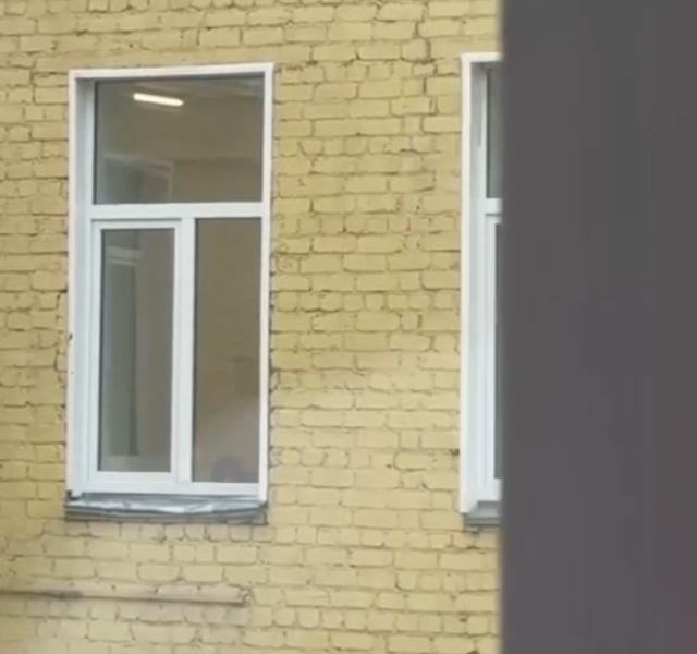 Белка притащила целый выводок бельчат в кировский роддом
