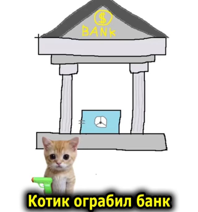 Как отмываются украденные деньги: на примере котиков и рыбок