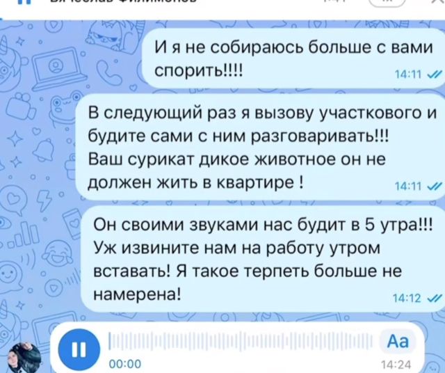 Соседский скандал из-за суриката