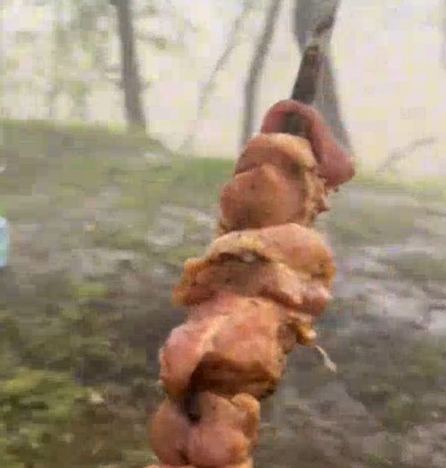 Шашлыки любой ценой