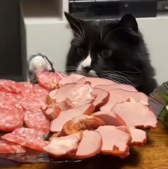 Какую же колбаску выбрать