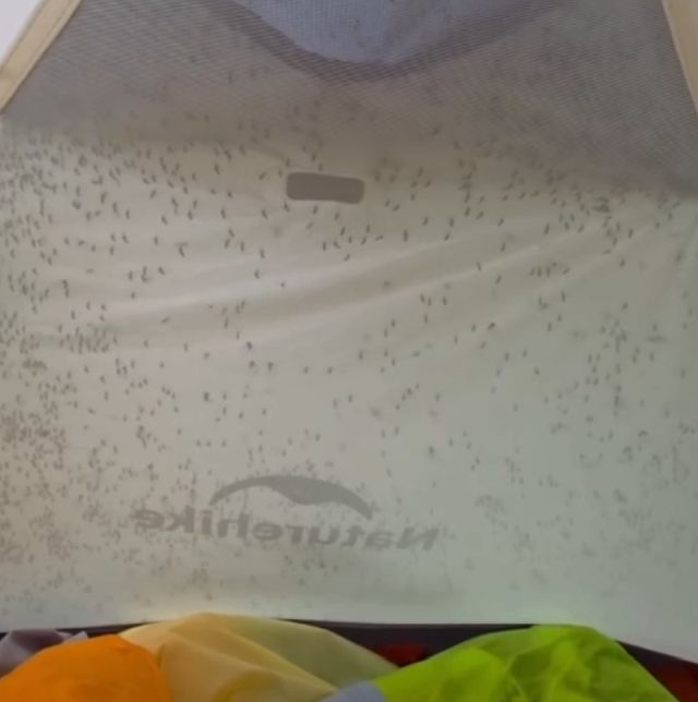 Минусы отдыха на природе летом