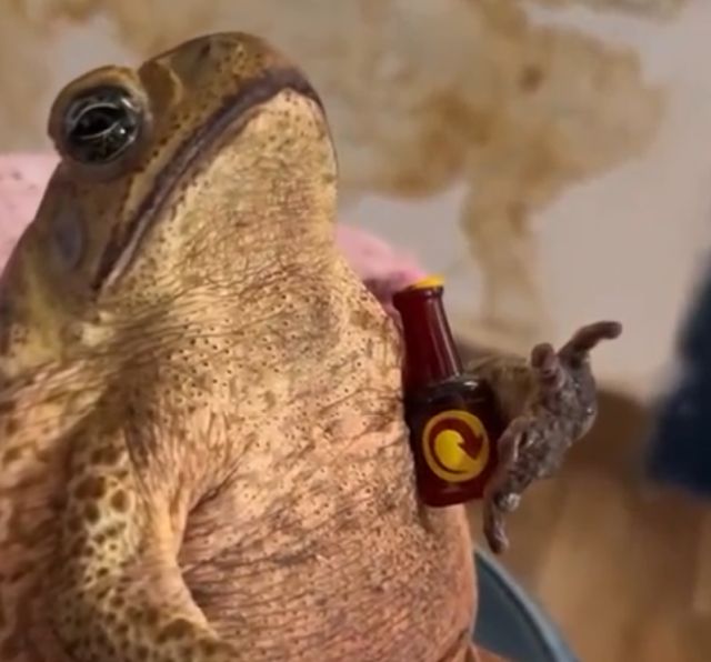 жаба