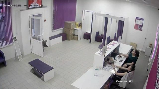 Свиньи забежали в ПВЗ и напугали менеджеров