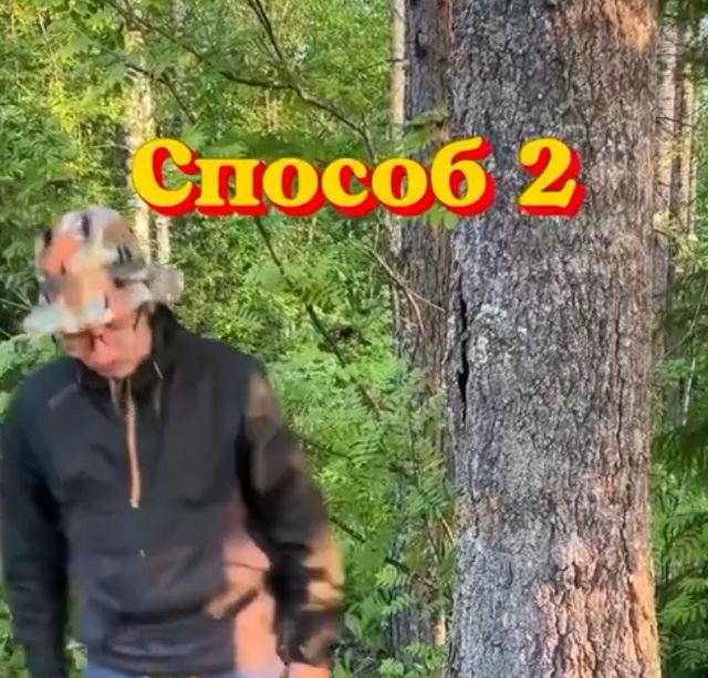 Что делать, если приспичило в лесу Что делать, если приспичило в лесу