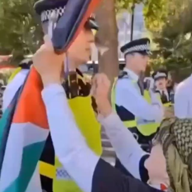 Неожиданный эпизод на протестной акции в Великобритании