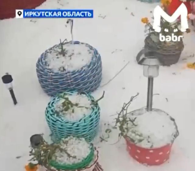 В Иркутской области выпал снег
