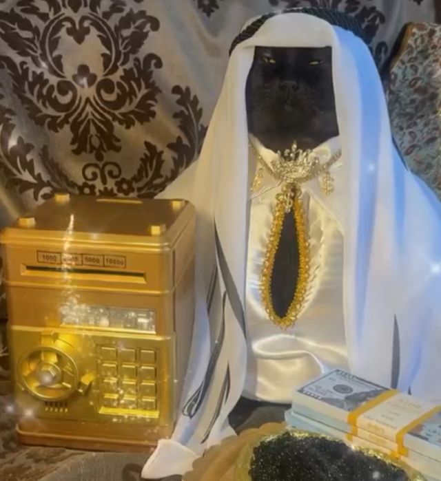кот-шейх