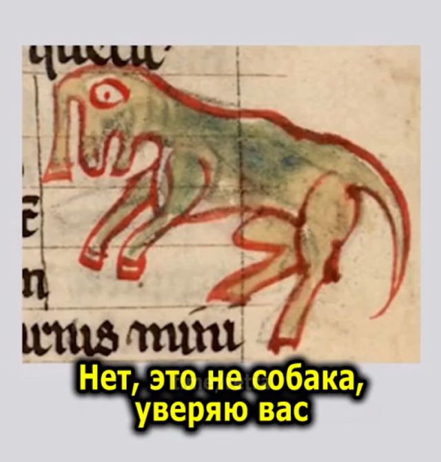 Изучаем животных глазами жителей средневековья