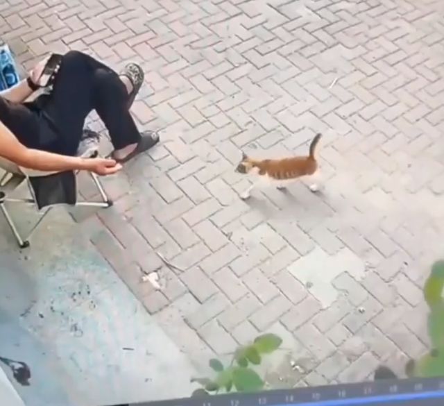 Профессиональный вор из Китая