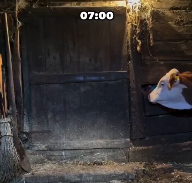 Обычный день фермера в деревне