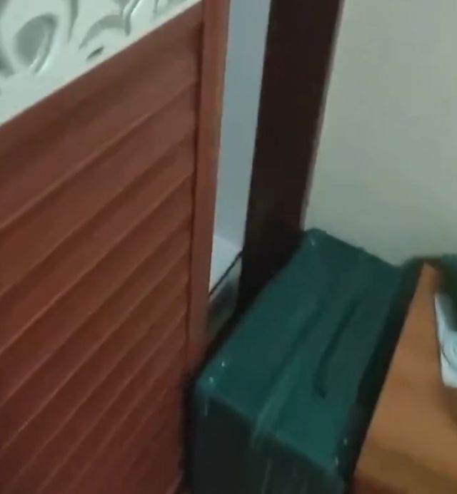 У кота нашли его секретное место для сна, и он этим крайне недоволен